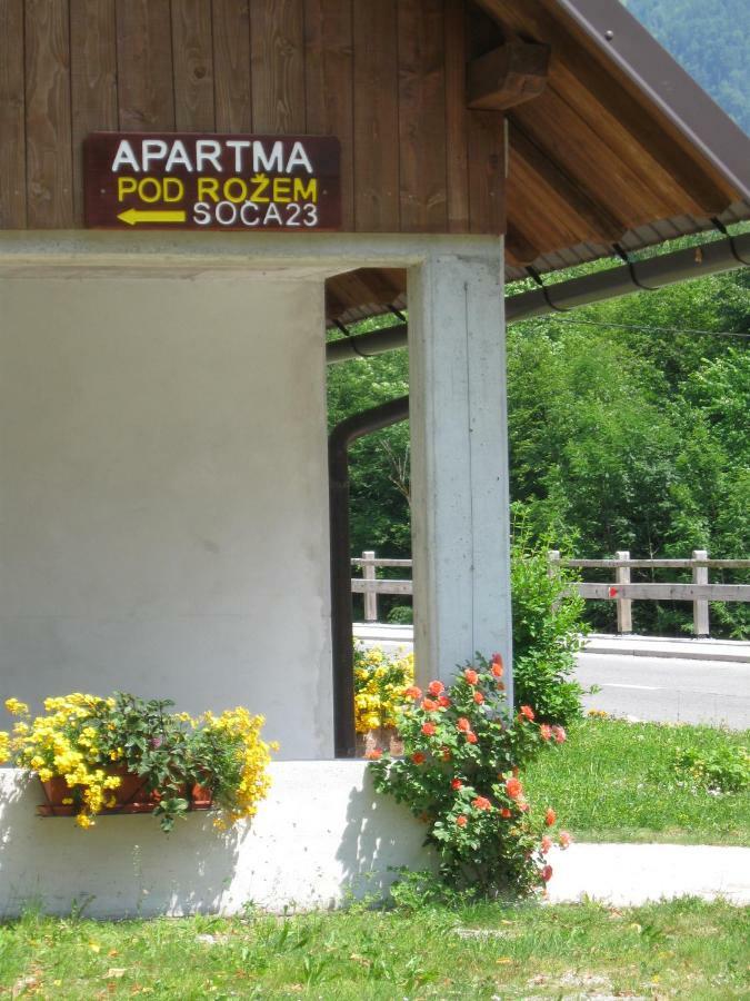 Apartma Pod Rozem 索卡 外观 照片